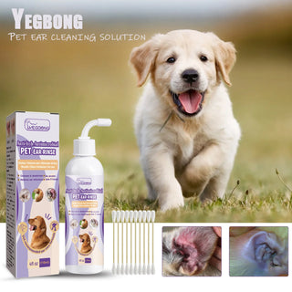 Lotion Auriculaire Douce AIRA — chien & chat, ambiance compagnon minimaliste